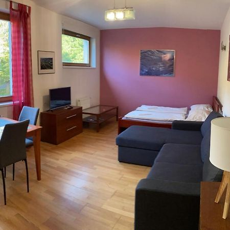 Studio Apartment Michael Špindlerŭv Mlýn Exteriér fotografie