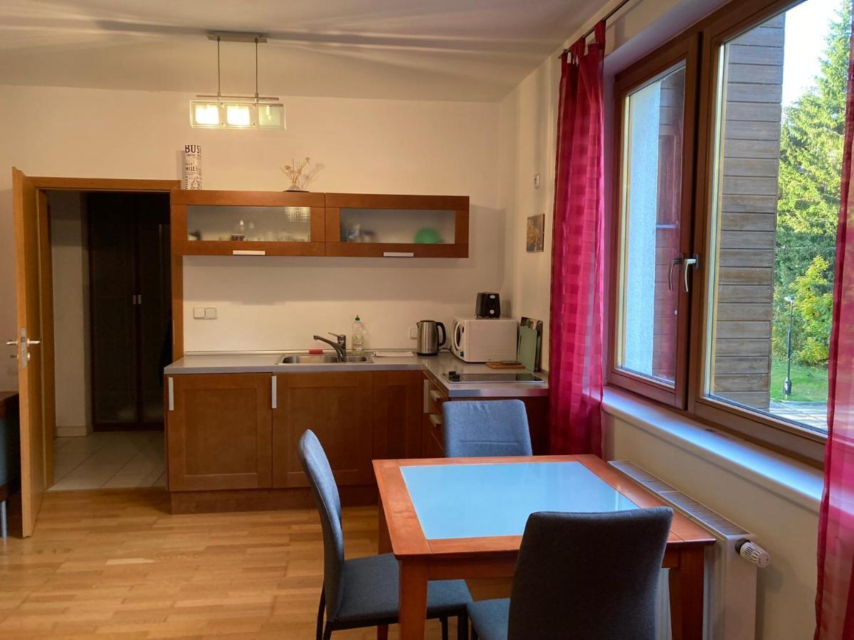 Studio Apartment Michael Špindlerŭv Mlýn Exteriér fotografie